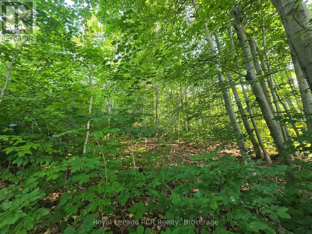 126 Old Highway 26 Highway, Meaford